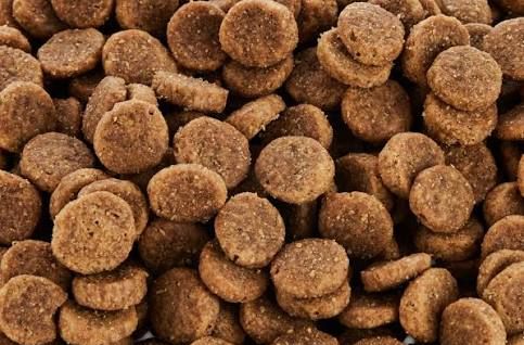 Close-up of round, golden-brown dry dog food kibble piled together