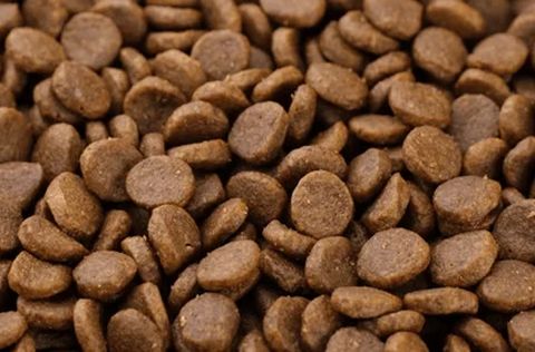 Close-up of dark brown disc-shaped dry dog food kibble